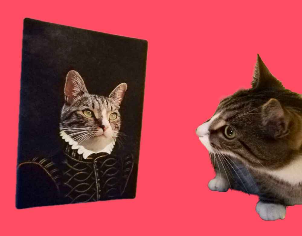 Foto van kat die naar gemaakt kunstwerk kijkt.